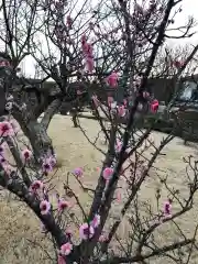 大生郷天満宮の自然