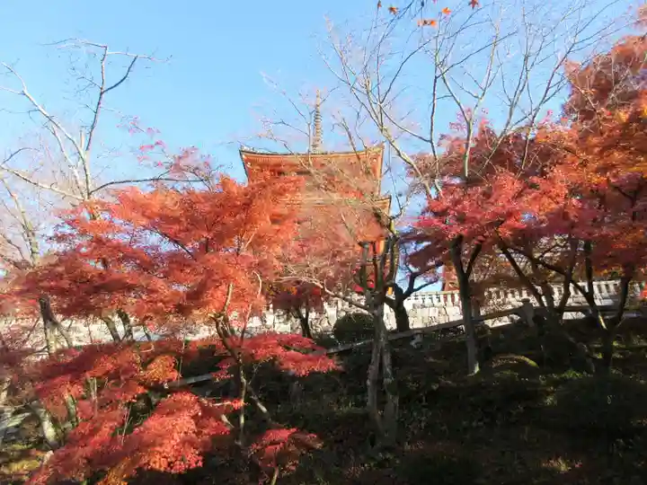 清水寺(京都府)