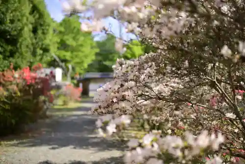正福寺(茨城県)
