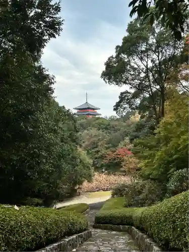 蓮華院誕生寺奥之院(熊本県)
