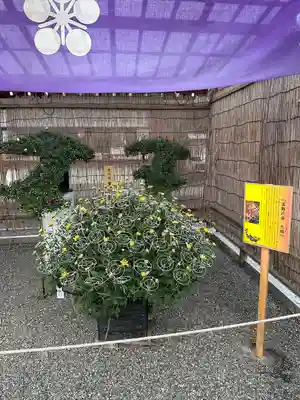 亀戸天神社(東京都)