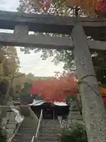 井神社(岡山県)