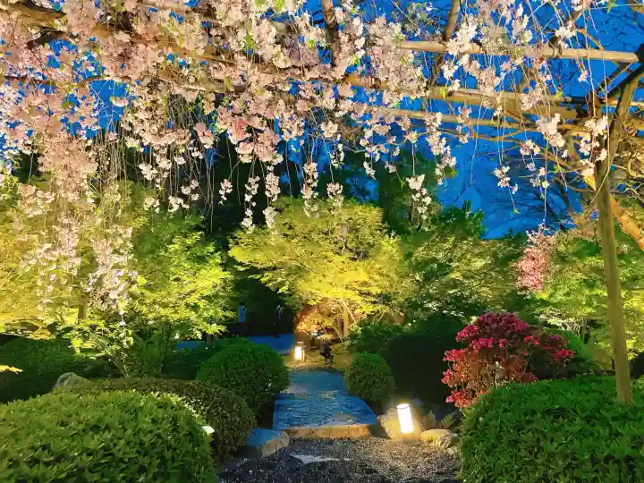 東寺(教王護国寺)の周辺