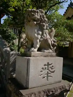 待乳山聖天(本龍院)の狛犬