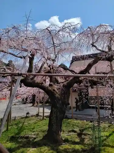 毘沙門堂門跡(京都府)