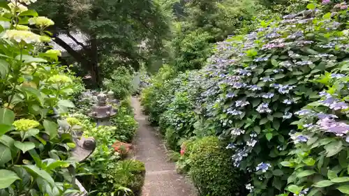 西法院(岡山県)