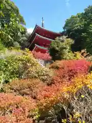 鏑射寺(兵庫県)