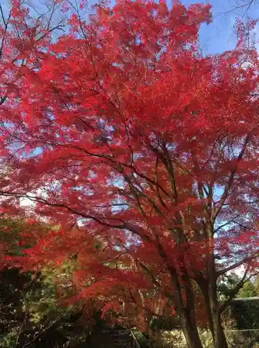 浄住寺の自然