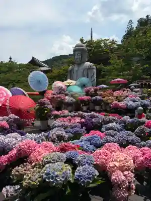南法華寺(壷阪寺)(奈良県)