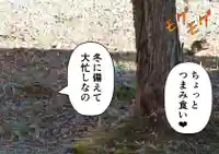 留辺蘂神社の動物