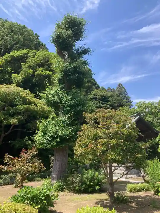 大長寺(神奈川県)