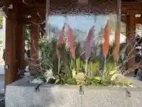 宮地嶽神社の手水舎