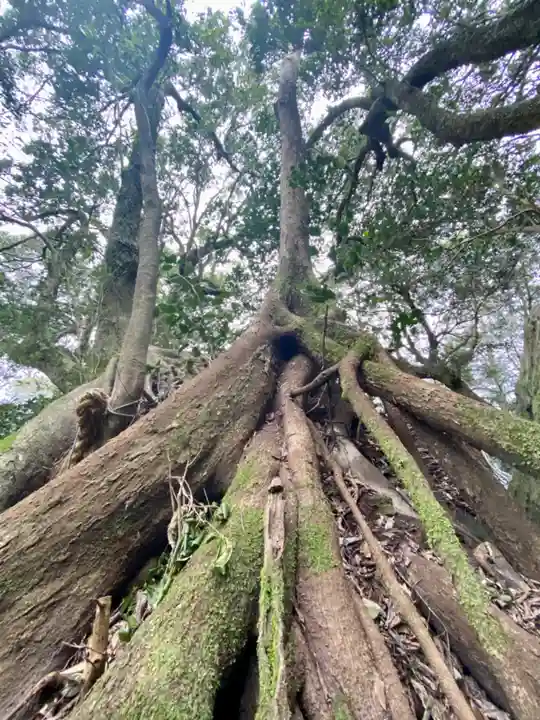 神谷神社の自然