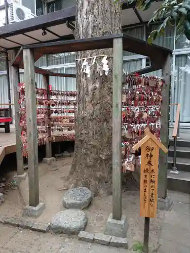 越谷香取神社の自然