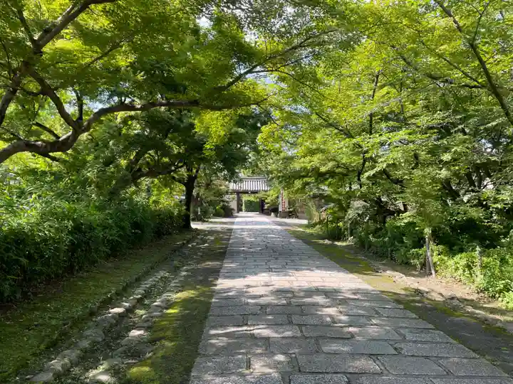 神光院(京都府)