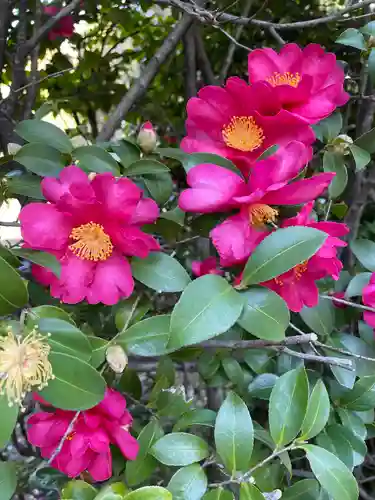 高円寺(東京都)