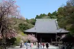 妙本寺の建物その他