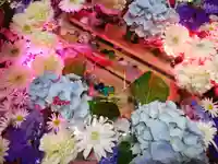 札幌諏訪神社の手水舎