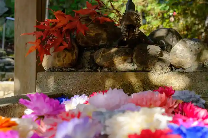 村雲御所瑞龍寺門跡の手水舎