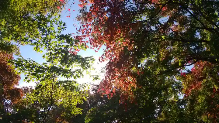 宝徳寺(群馬県)