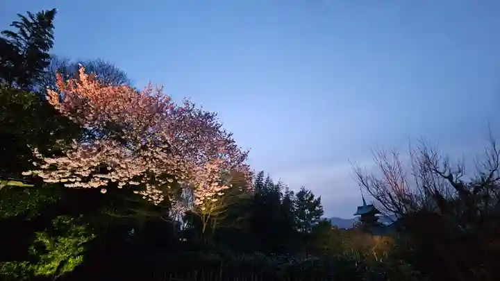 高台寺(高台寿聖禅寺・高臺寺)(京都府)