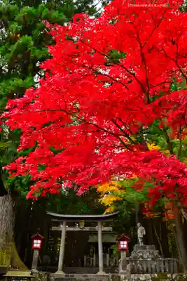 北口本宮冨士浅間神社(山梨県)