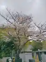 命徳寺(神奈川県)