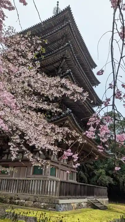 醍醐寺(京都府)