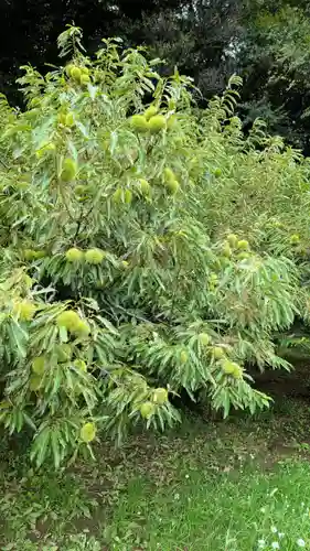 七百餘所神社 の周辺