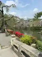 三嶋大社(静岡県)