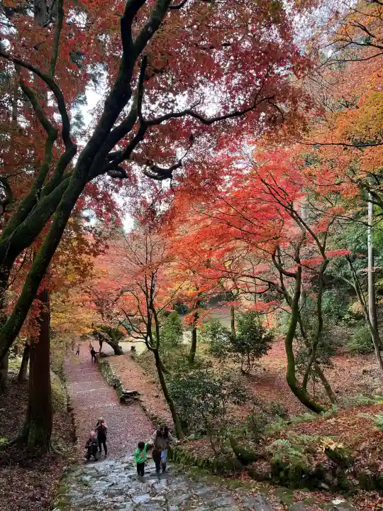 鶏足寺の{uncategorized: "未分類", other: "その他", undefined: "問題あり", building: "その他建物", grave: "お墓", sacred_gate: "鳥居", guardian: "狛犬", statue: "像", buddha: "仏像", history: "歴史", nature: "自然", garden: "庭園", animal: "動物", pagoda: "塔", temizu: "手水舎", mountain_gate: "山門・神門", sanctuary: "本殿・本堂", subordinate: "末社・摂社", art: "芸術", scenery: "景色", jizo: "地蔵", ema: "絵馬", goshuin: "御朱印", omikuji: "おみくじ", items: "授与品その他", amulet: "お守り", goshuincho: "御朱印帳", eats: "食事", festival: "お祭り", votive_dance: "神楽", shichigosan: "七五三参", wedding: "結婚式", experience: "体験その他", initially: "初詣", around: "周辺", anti_infection: "感染症対策"}