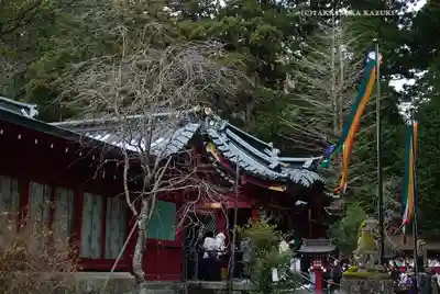 箱根神社(神奈川県)