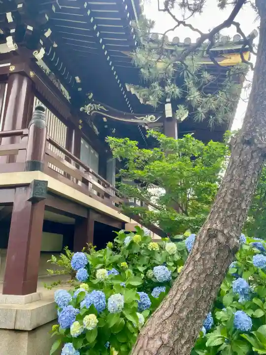 圓照寺(東京都)
