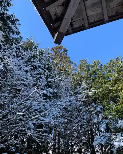 滑川神社 - 仕事と子どもの守り神の自然