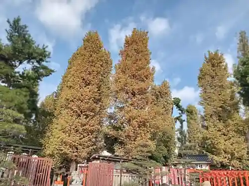 阿部野神社(大阪府)