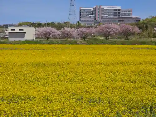 常光寺(兵庫県)