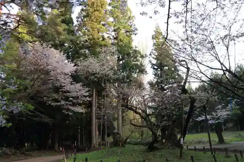 磐椅神社の自然