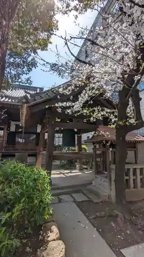 本教寺(京都府)