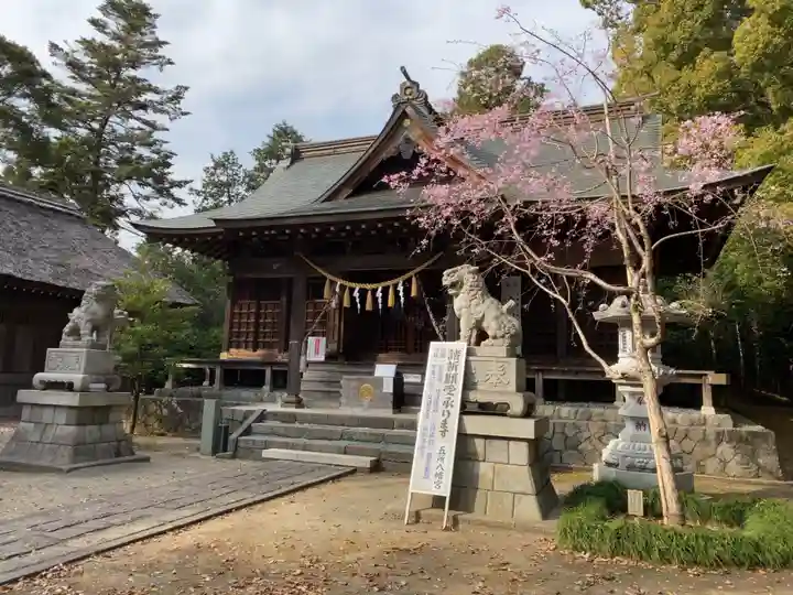 五所八幡宮の本殿・本堂