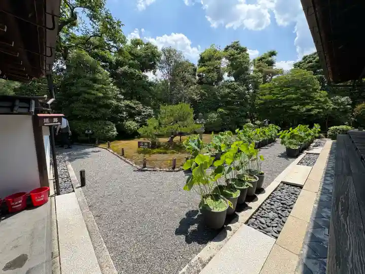 退蔵院(京都府)