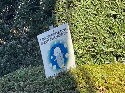 守善寺(滋賀県)