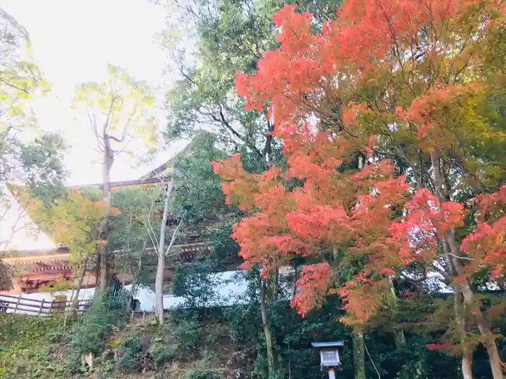 金峯山寺の自然