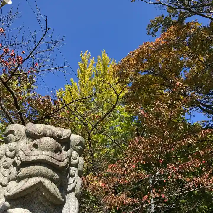 温泉神社~磐梯熱海温泉~の狛犬