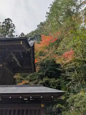 宝登山神社(埼玉県)