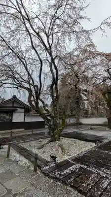 醍醐寺(京都府)
