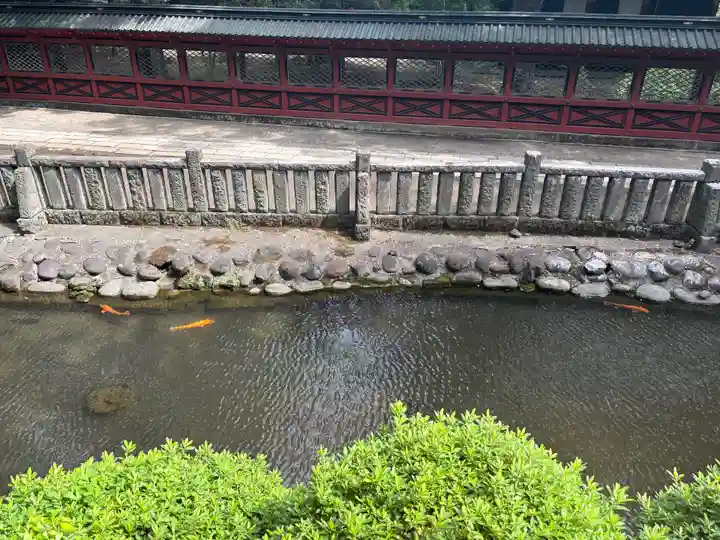 根津神社(東京都)