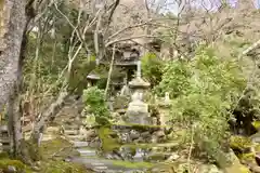 栖賢寺の庭園