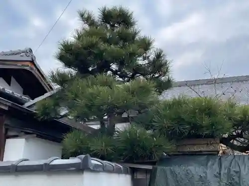 寳受寺(京都府)