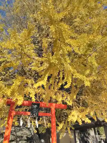 雷神社の鳥居