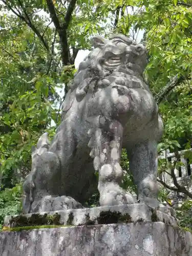 戸隠神社中社の狛犬